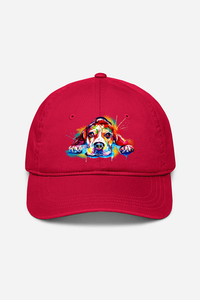 Droopy Dog Eyes Cap (7 Colours)