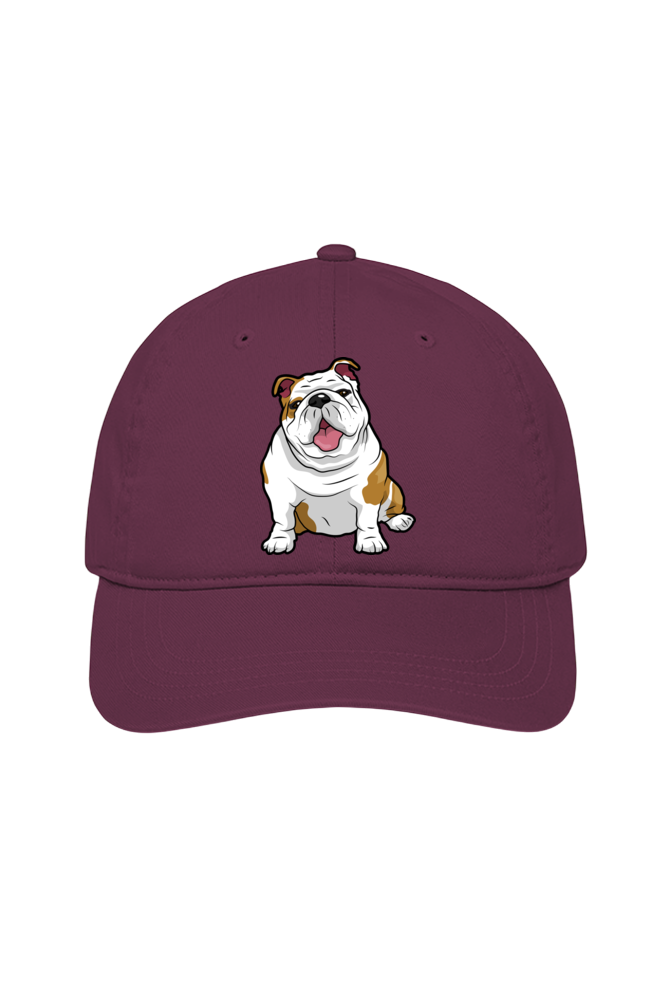 Wringkly Sprinkly Bulldog Cap (7 Colours)