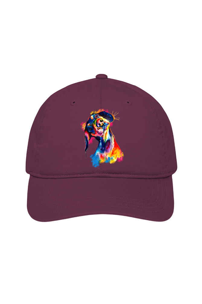 Tilted Head Rainbow Dog Cap (7 Colours)