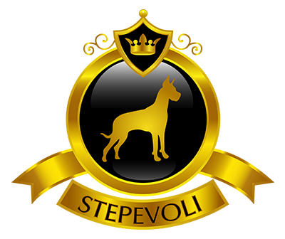 Stepevoli Logo