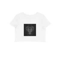 Front View - 5887014