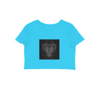 Front View - 5887015