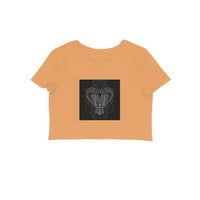 Front View - 5887019