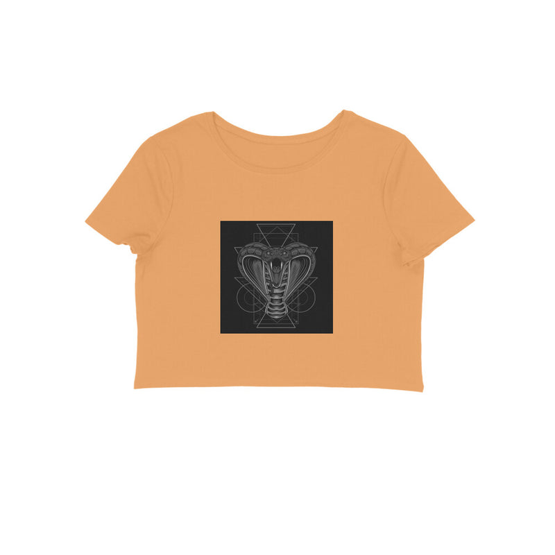 Front View - 5887019