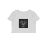 Front View - 5887020