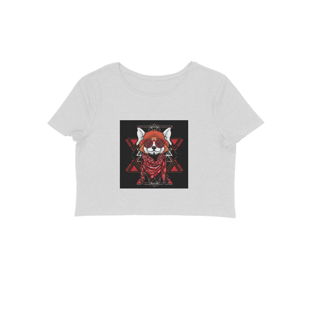 Front View - 5887037