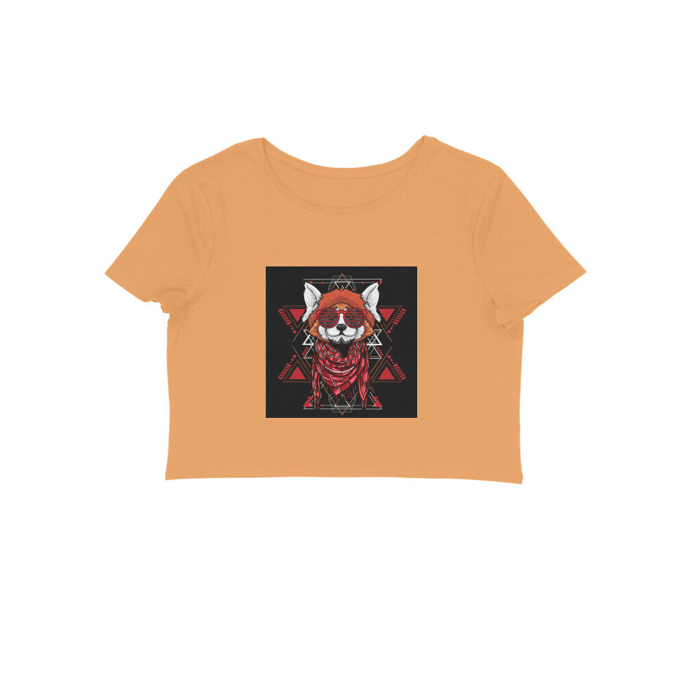 Front View - 5887044