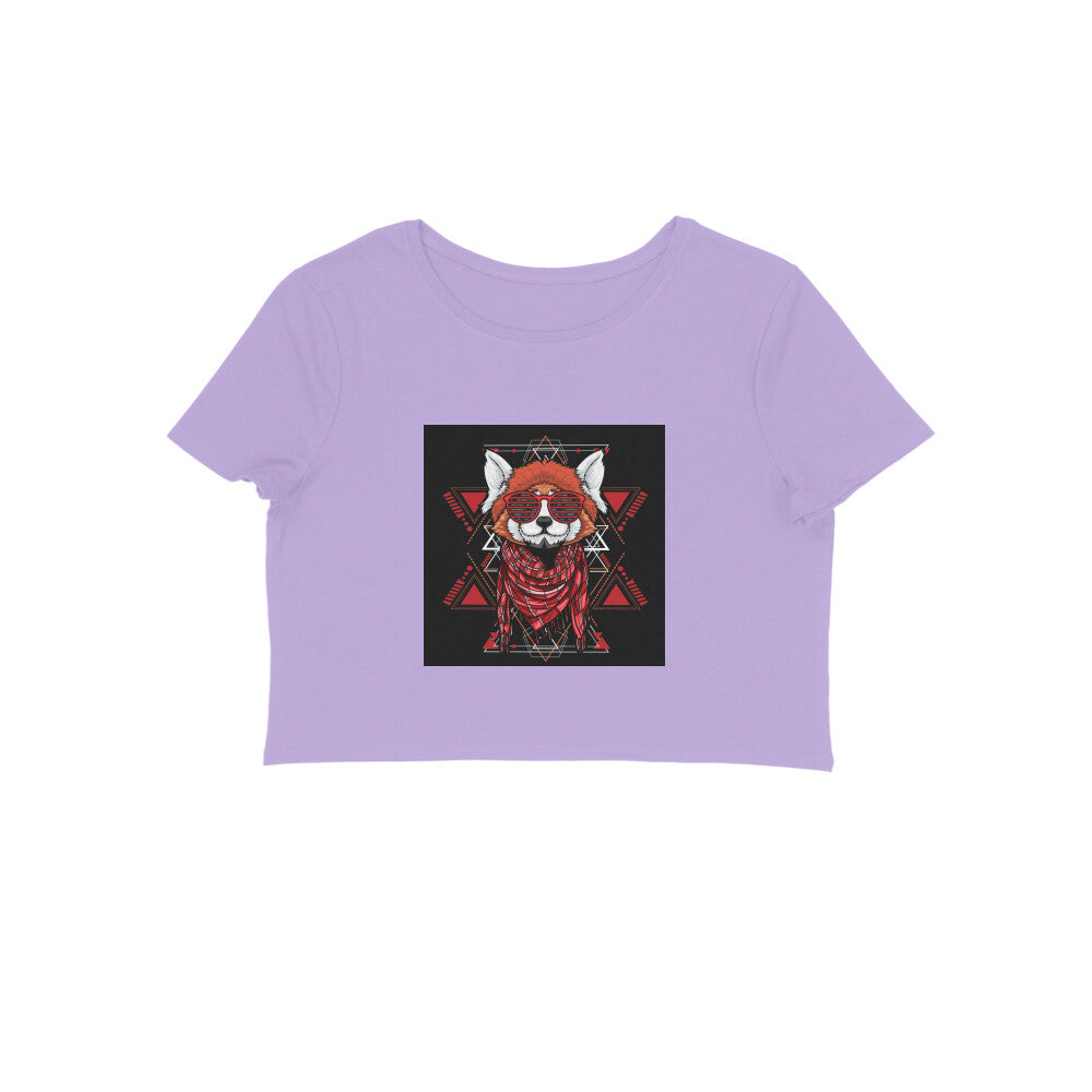 Front View - 5887048