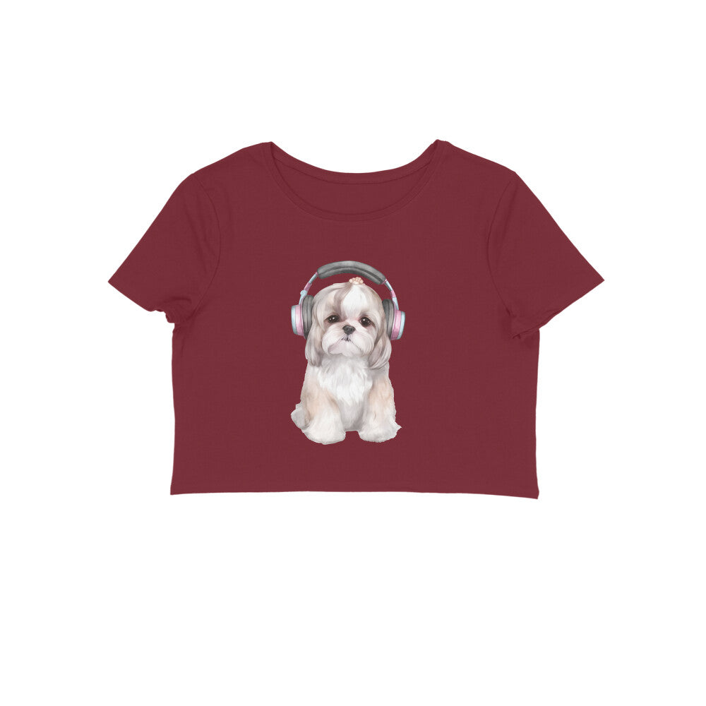 Front View - 5887071