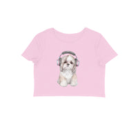 Front View - 5887074