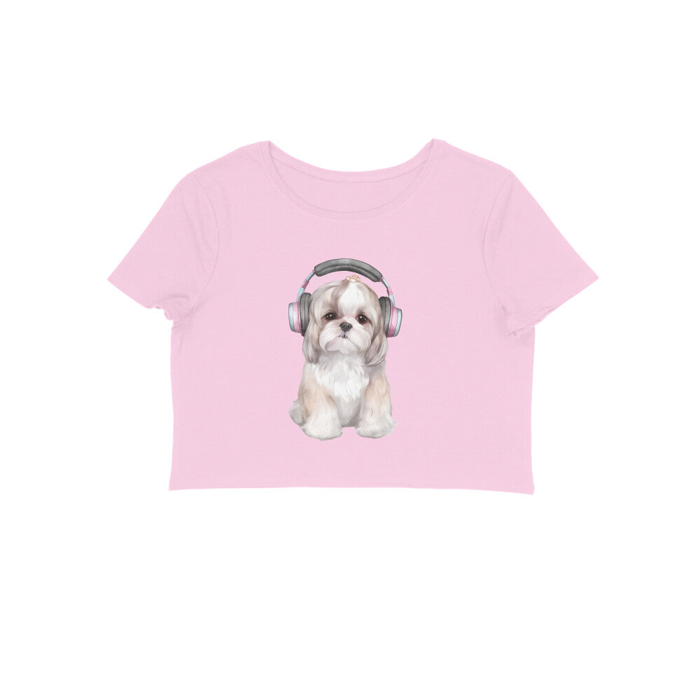 Front View - 5887074