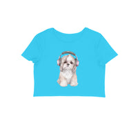 Front View - 5887075