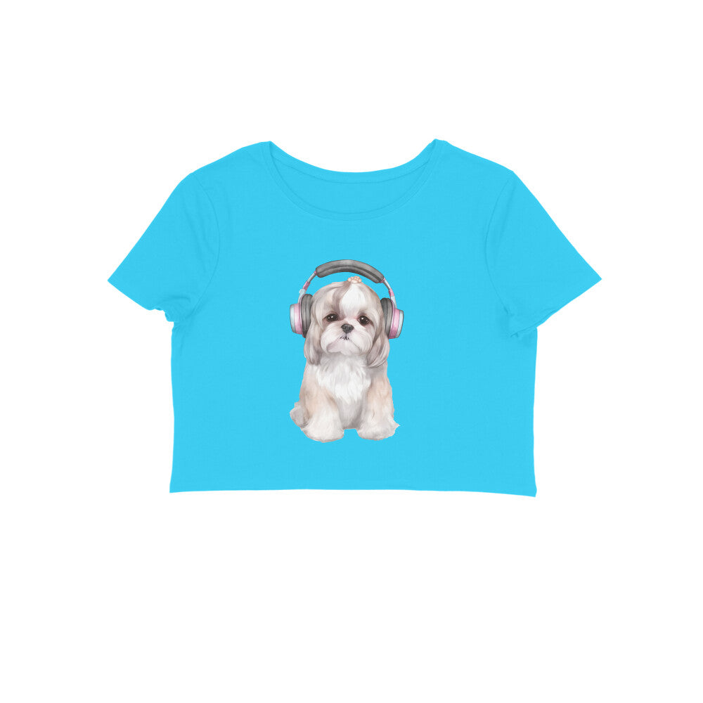 Front View - 5887075