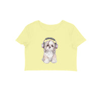 Front View - 5887076