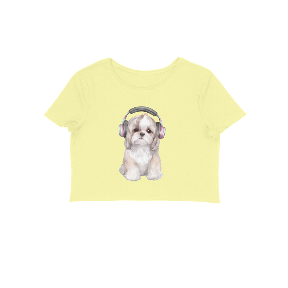 Front View - 5887076