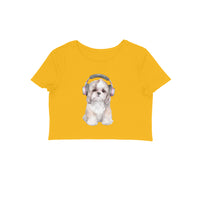 Front View - 5887077