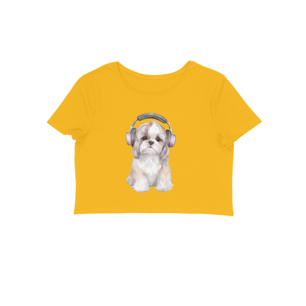 Front View - 5887077