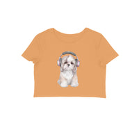 Front View - 5887078