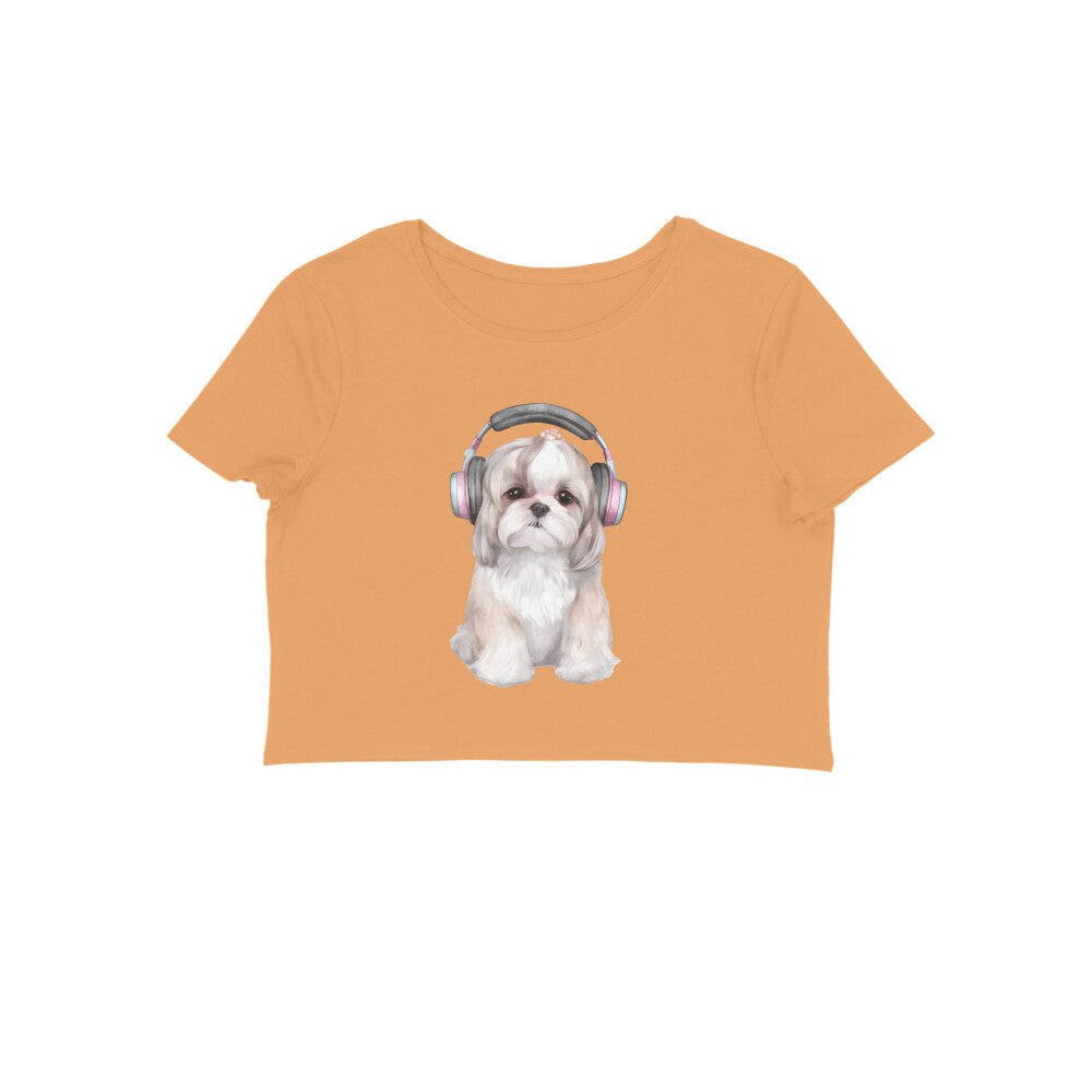 Front View - 5887078