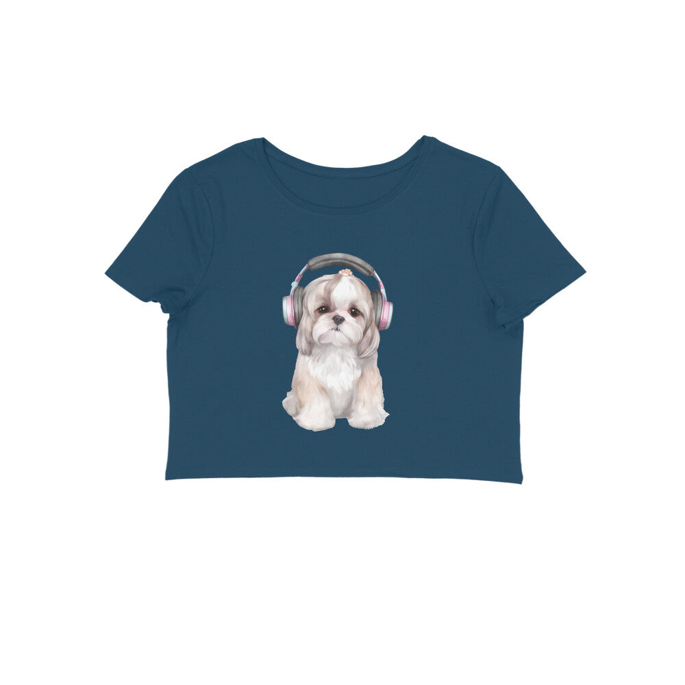 Front View - 5887079