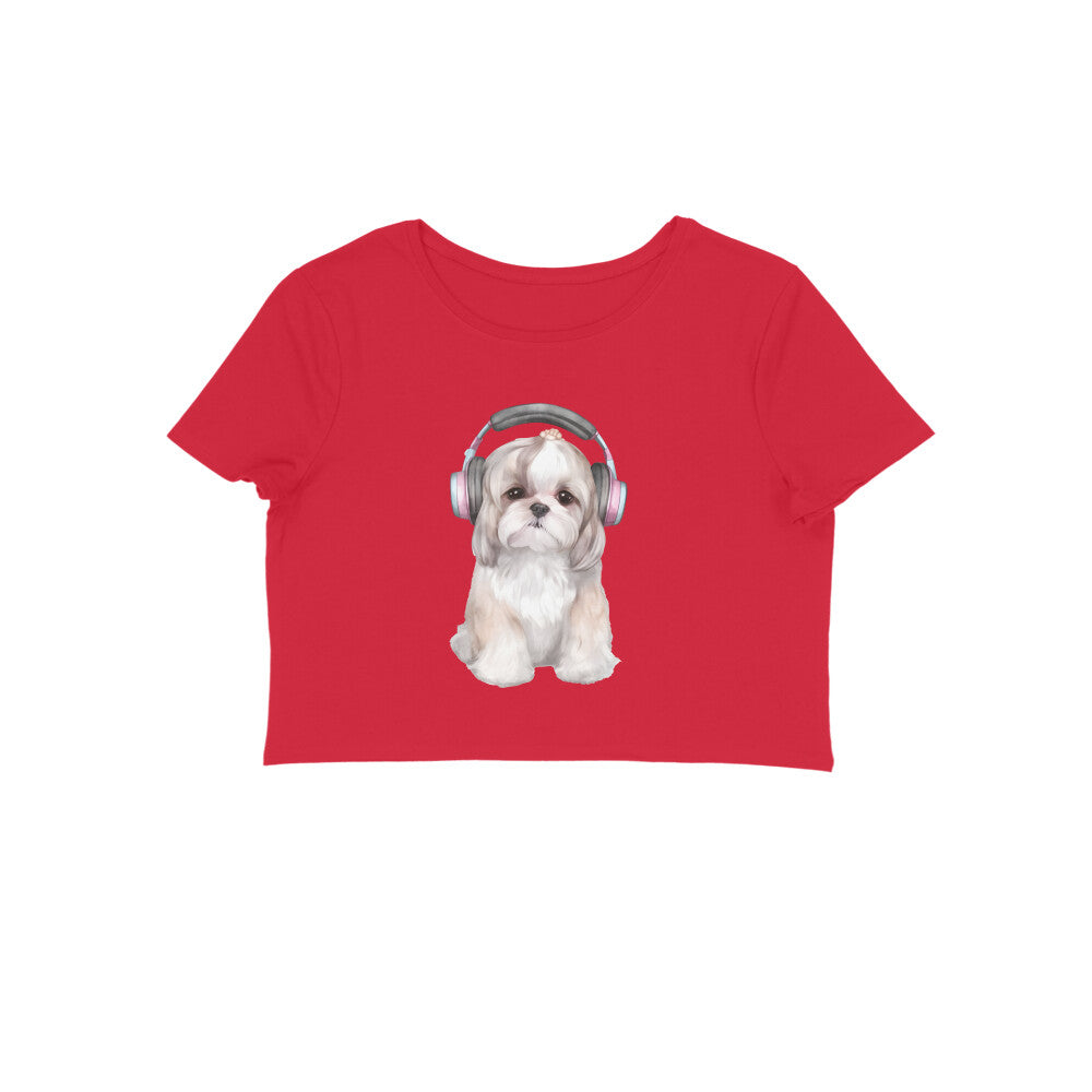 Front View - 5887081