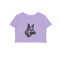 Front View - 5887087