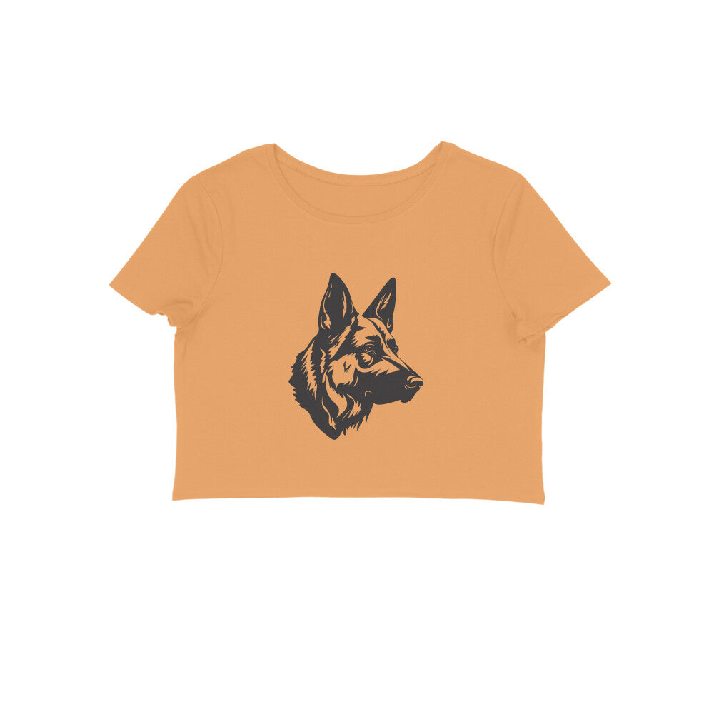 Front View - 5887090