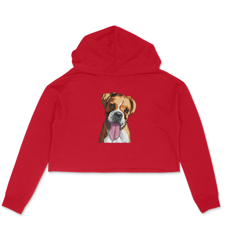 Stepevoli Clothing - Crop Hoodie (Women) - Bright As A Boxer (6 Colours)
